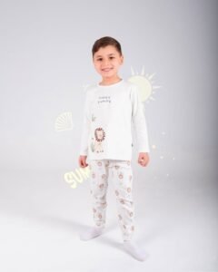 فاني باني